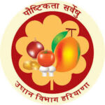 WhatsApp Image 2025-08-28 at 3.40.21 PM (6)