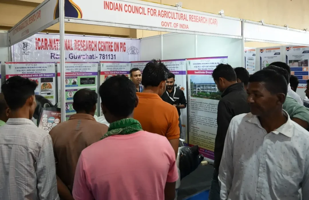 WhatsApp Image 2025-08-29 at 11.14.01 AM